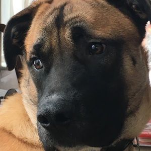 Meet your Posher, Miki